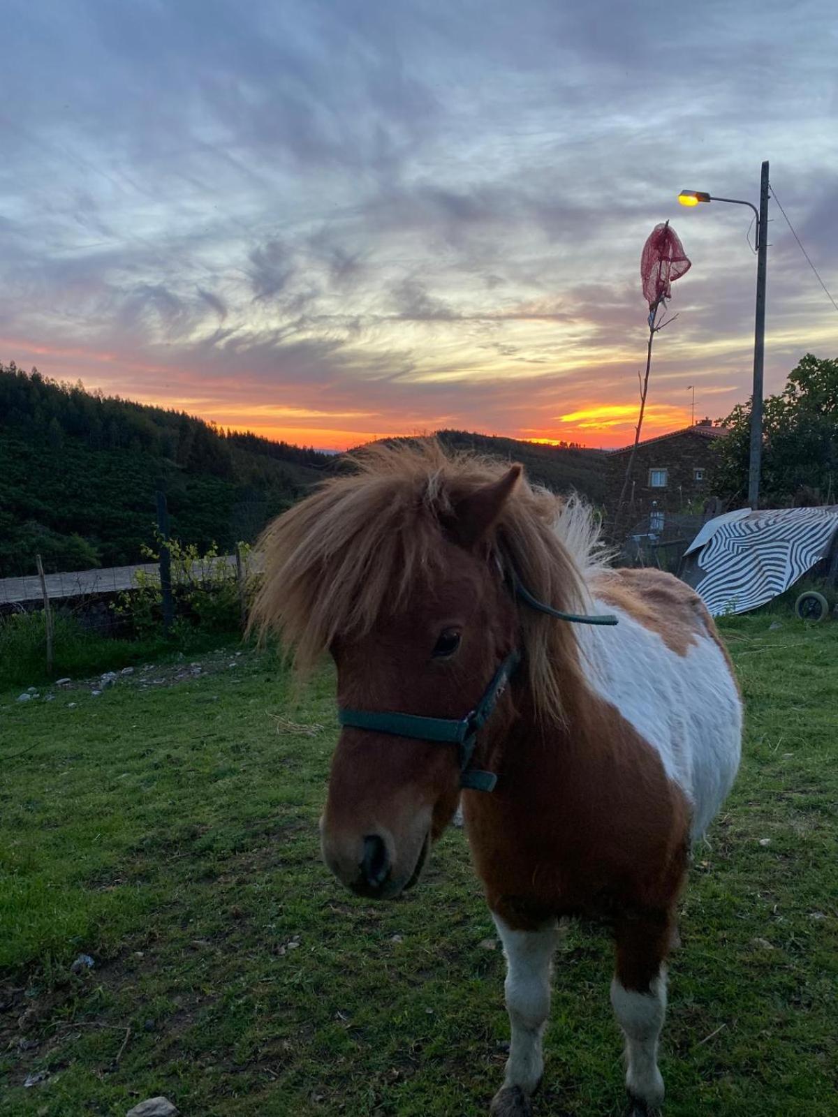 Casinha Por Do Sol Vila Aldeia das Dez Exterior foto